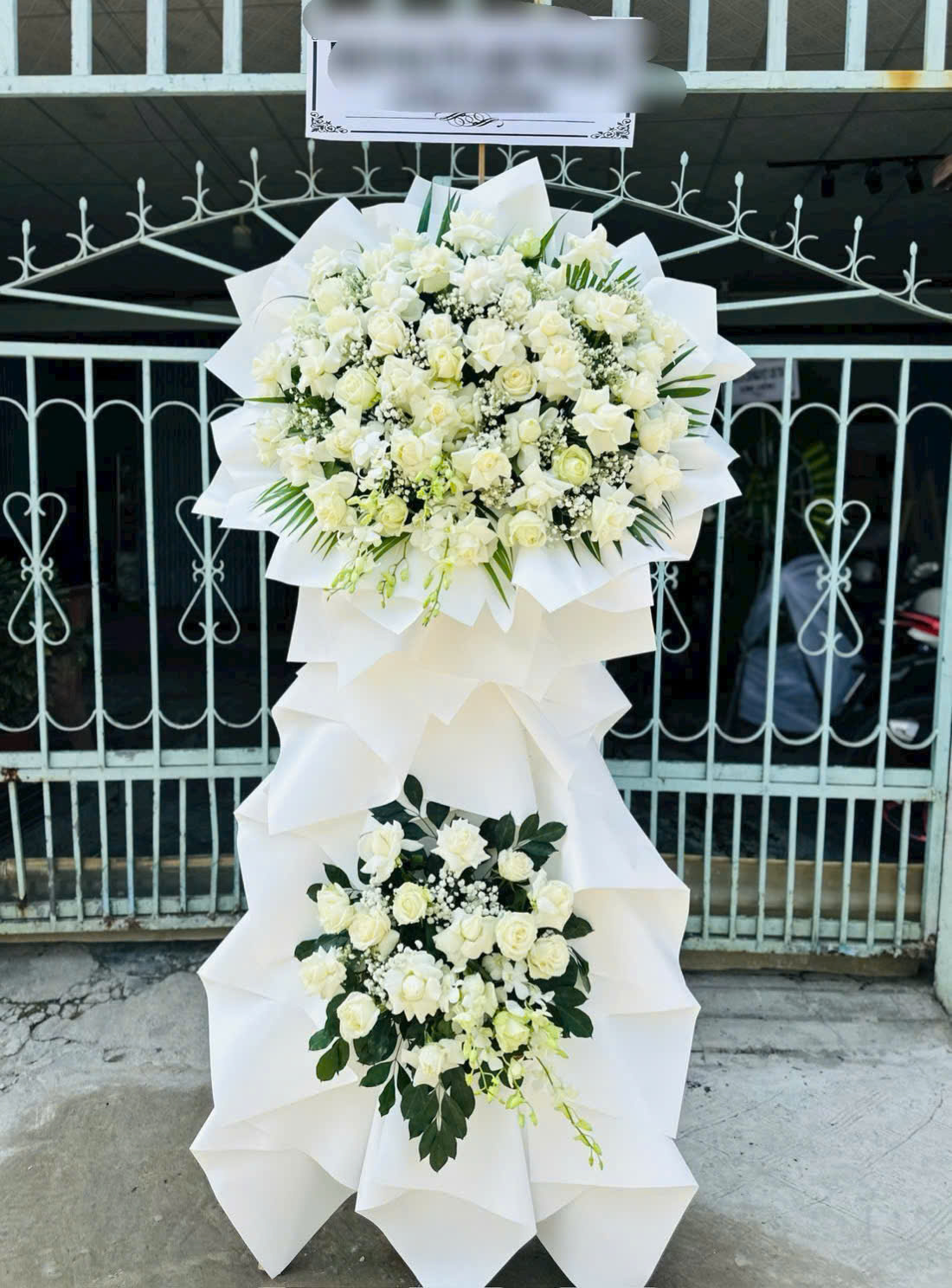 Tiếc Thương V145